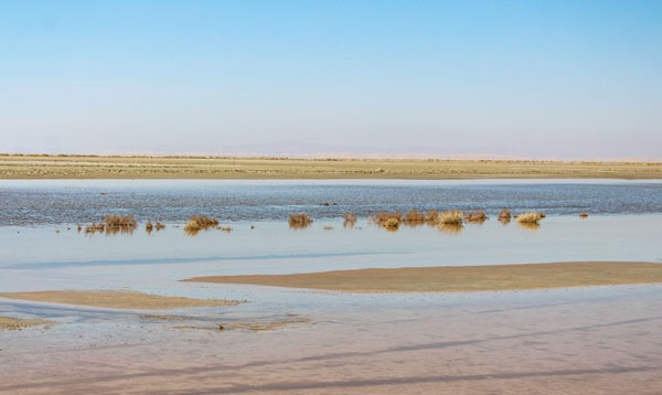 باتلاق گاوخونی